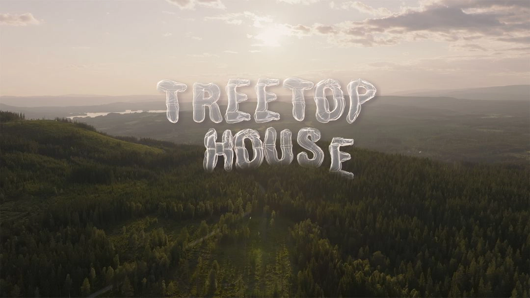 Treetop House